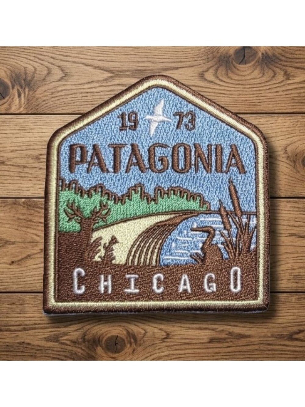 Patagonia Chicago Exclusive Patch